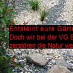 Maximilian Abstein VG Eich – Entsteint Eure Gärten wir zerstören weiter die Natur Insekten und Bienen