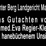 Richter Berg Landgericht Mainz und das Gutachten von Eva Regier-Klein mit hanebüchenem Unsinn