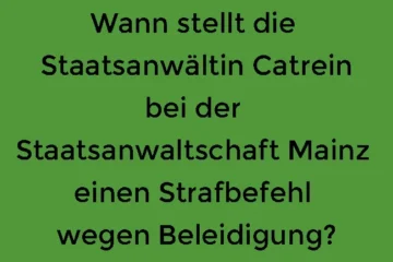 Wann stellt die Staatsanwältin Catrein bei der Staatsanwaltschaft Mainz einen Strafbefehl wegen Beleidigung